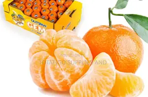 Photo - Standard Oranges