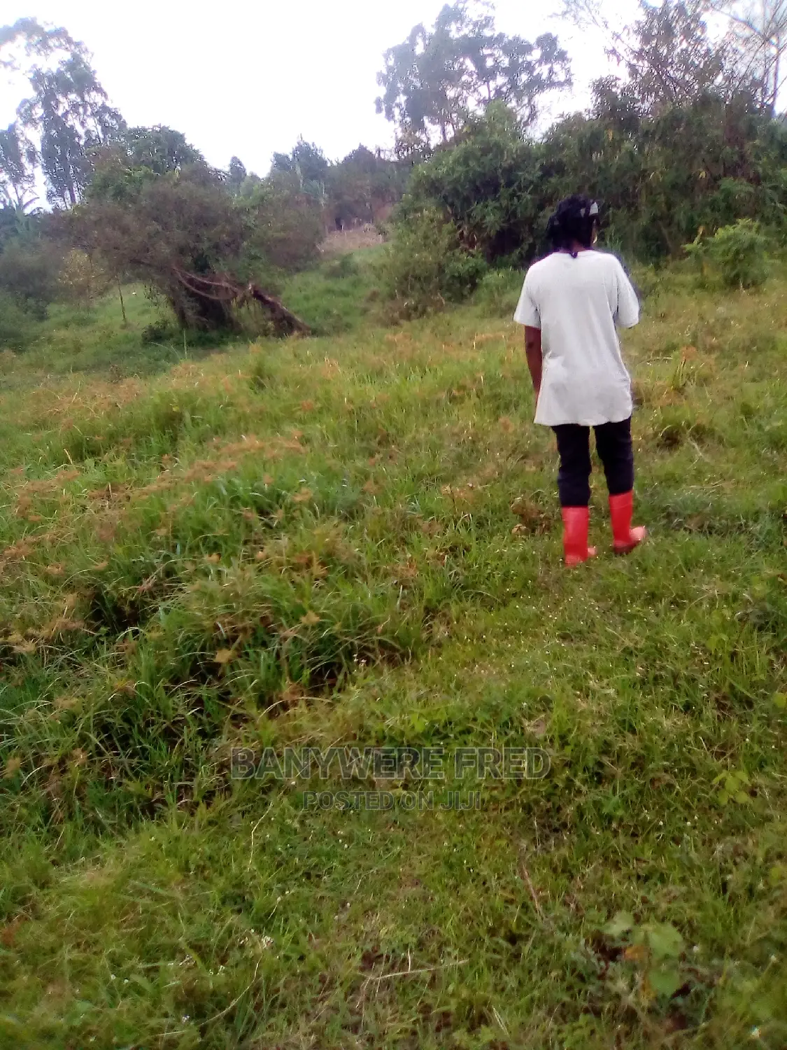 Acer of Land at Nagojje for Sale in Mukono District
