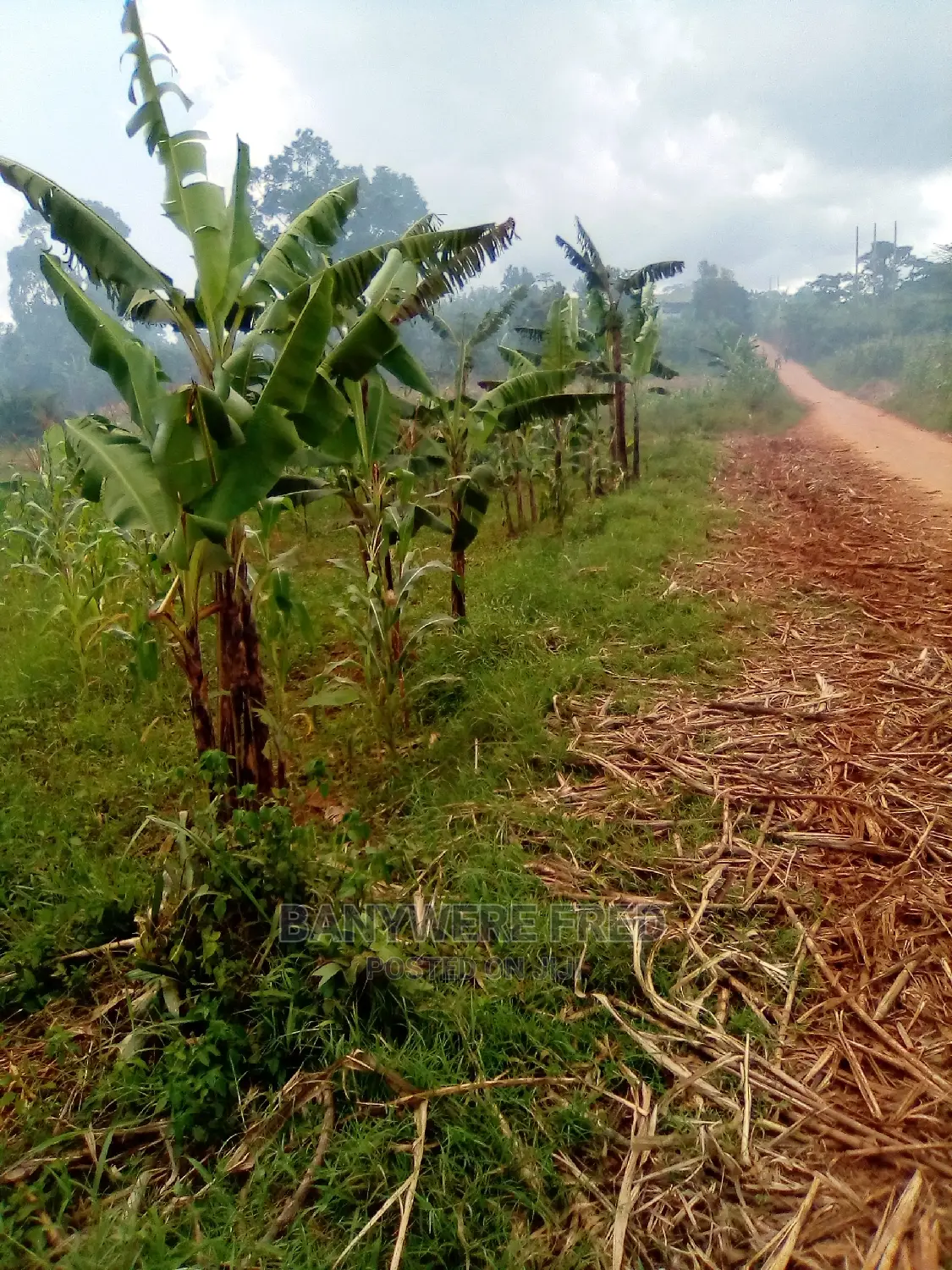 2 Acer's of Land on at Namuyejje in Mukono District