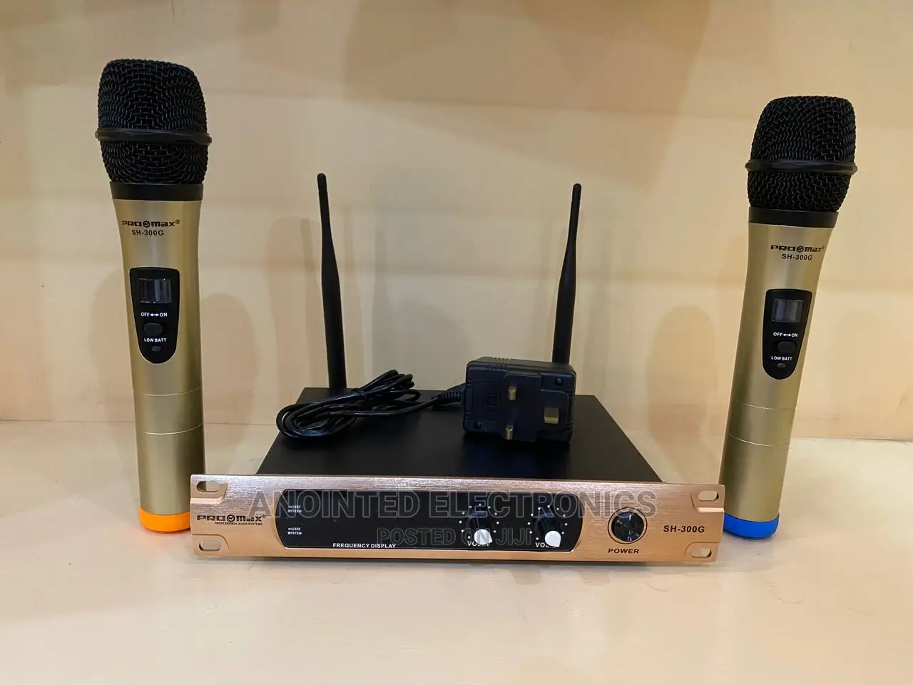 Pro-Max Wireless Microphone