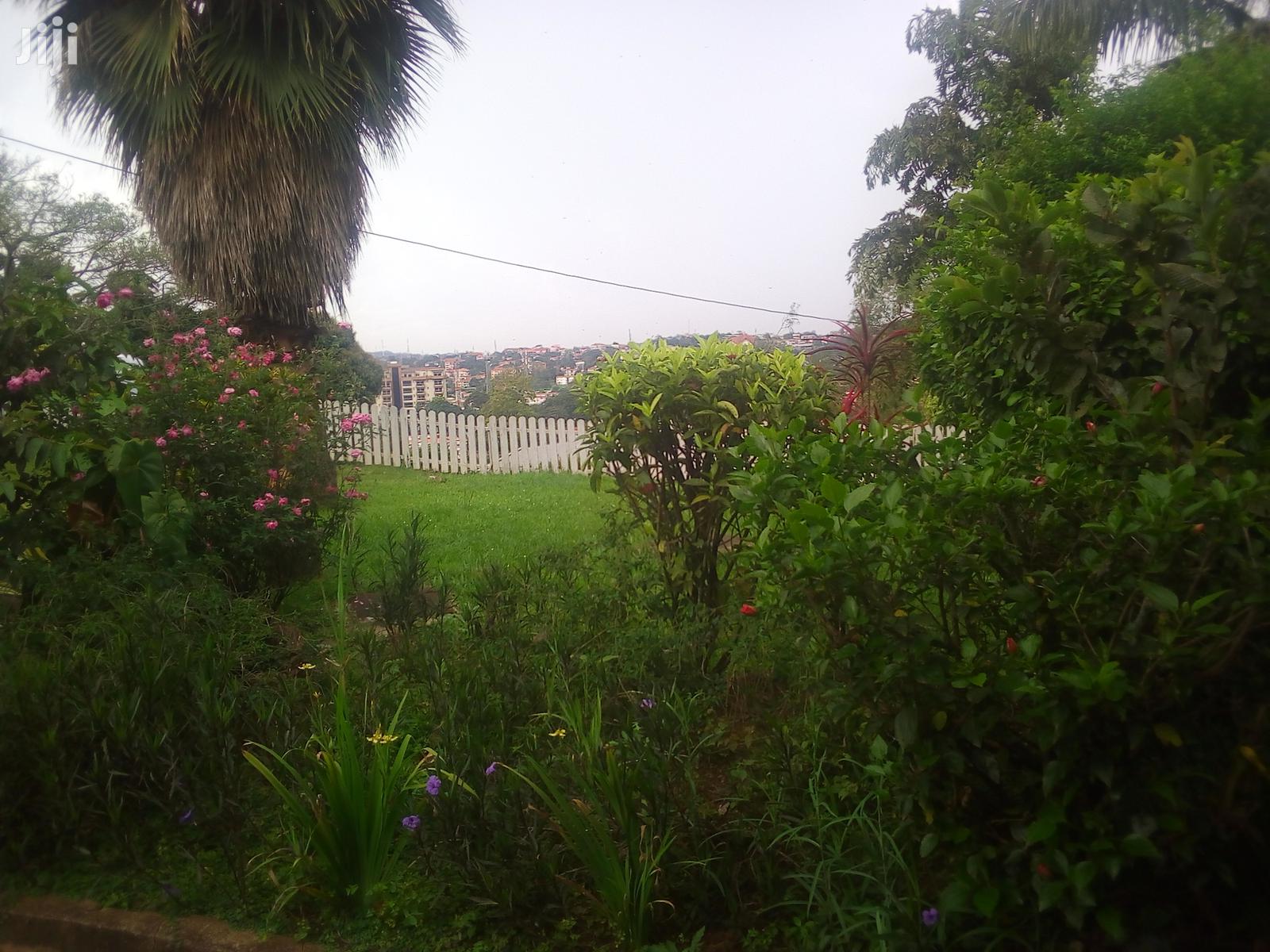 3 Bedroom House For Rent