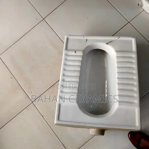 Squatting Toilet With Cover