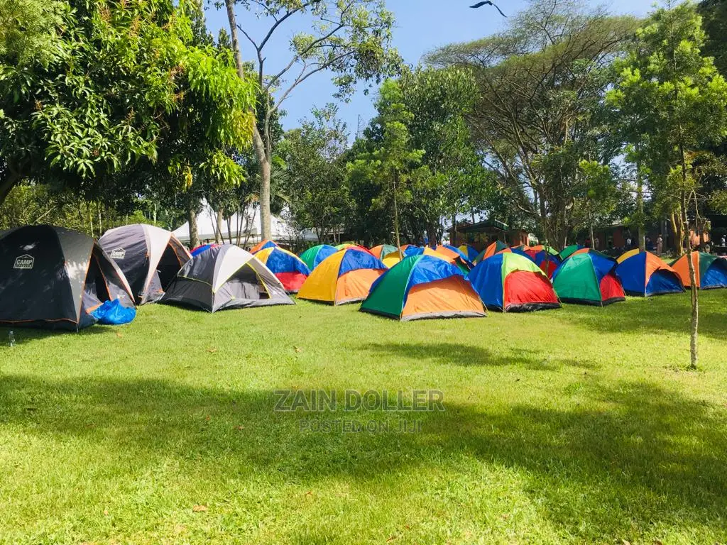 Shine in Camping