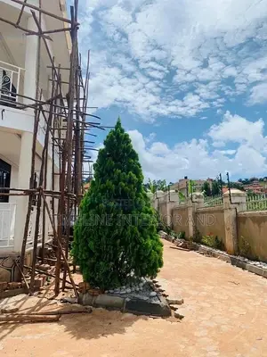 Exterior Painting at Lubowa Site.