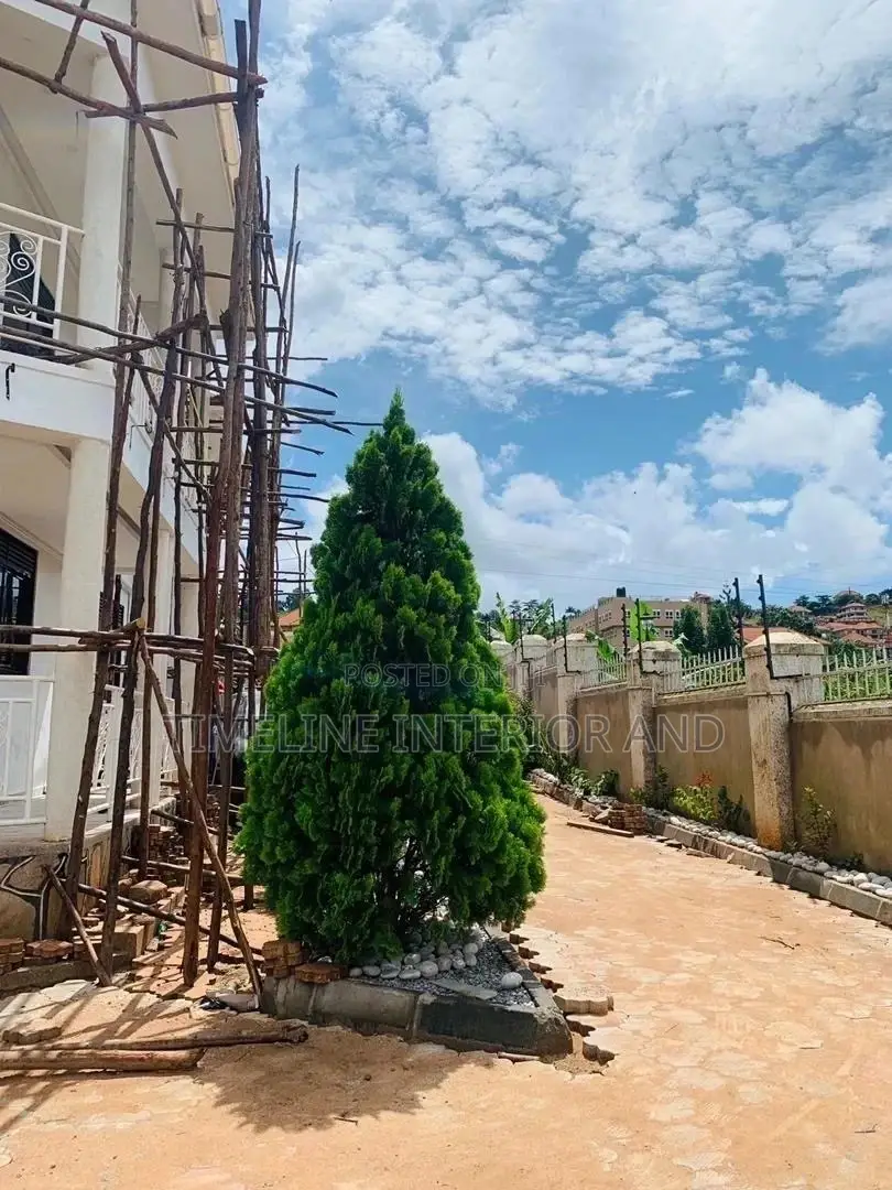 Exterior Painting at Lubowa Site.