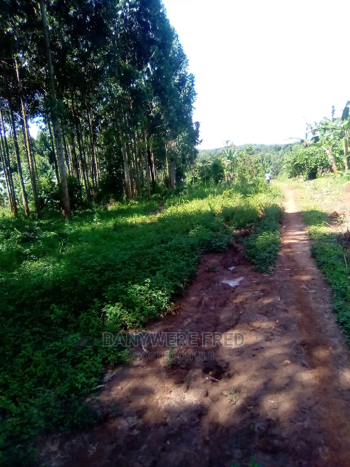 16acres for Sale in Makulubita