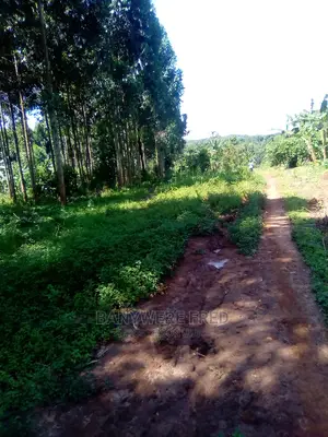 16acres for Sale in Makulubita
