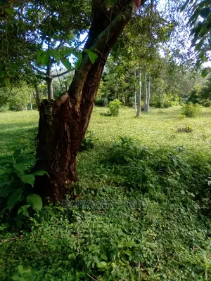 8acres of Farmland for Sale in Makulubita