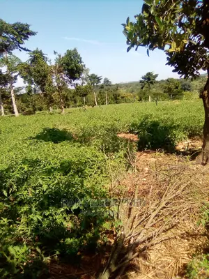 4acres of Farmland for Sale in Kidulu Mukulubitta
