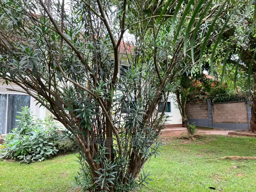 2bdrm Apartment in Naguru, Central Division for Rent