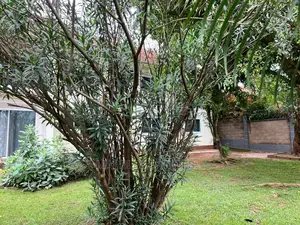 2bdrm Apartment in Naguru, Central Division for Rent