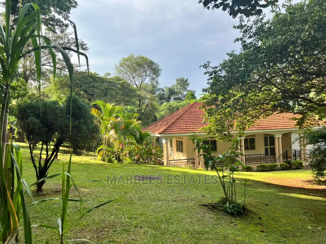 8bdrm House in Kololo, Central Division for Rent
