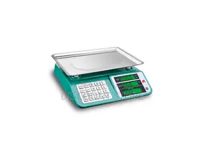 Electronic Commercial Elegant Digital Weighing Scales.