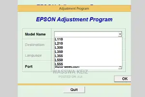 Epson Reseter Key of Red Blinking Lights