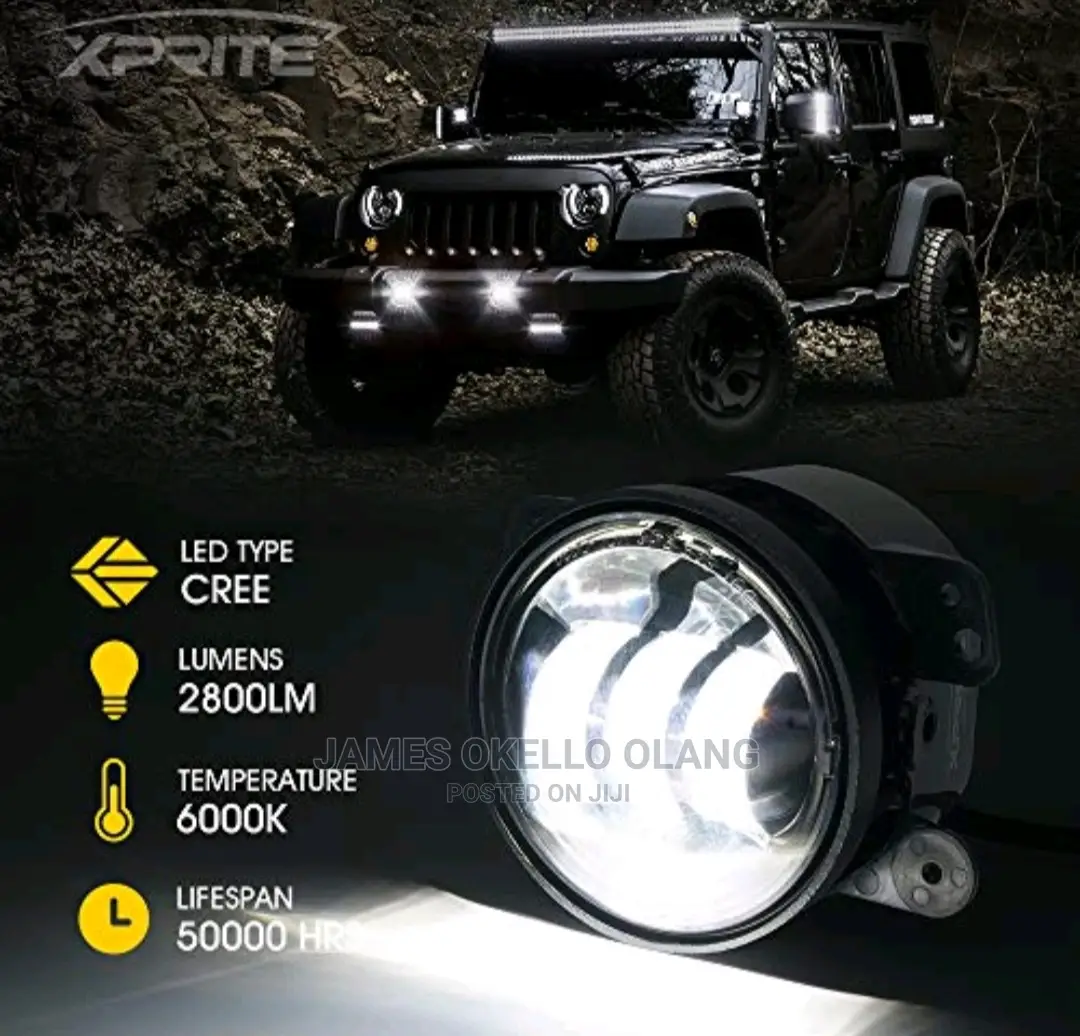 Projector Fog Lights for Cars