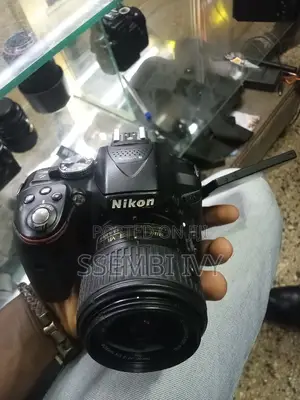 Nikon 5300.