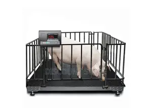 Platform Standard Digital Scales for Animals