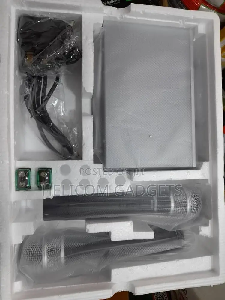 Max Professional Microphone