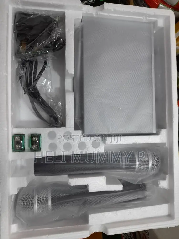 Max Professional Microphone