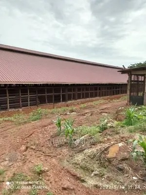 Poultry Farm on Two Acres on Quicksale in Mukono Kayunga