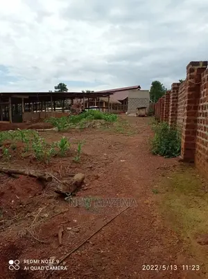 Poultry Farm on Two Acres on Quicksale in Mukono Kayunga