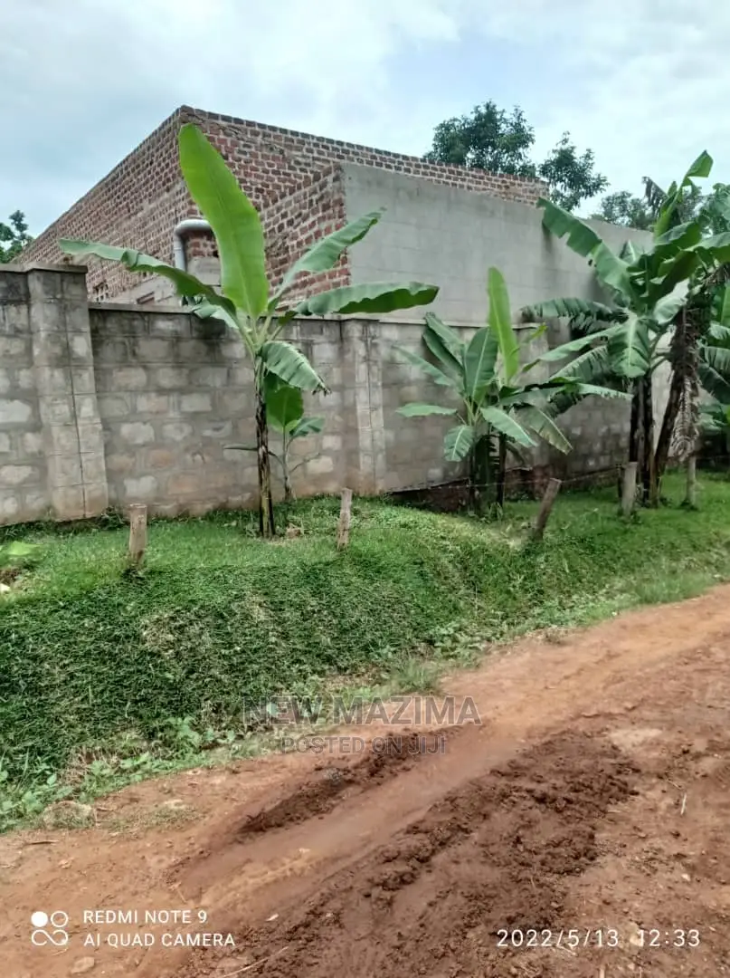 Poultry Farm on Two Acres on Quicksale in Mukono Kayunga