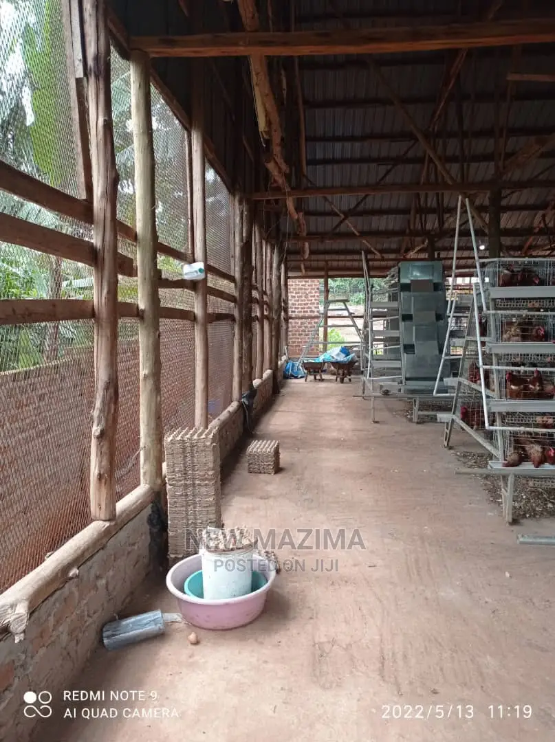Poultry Farm on Two Acres on Quicksale in Mukono Kayunga