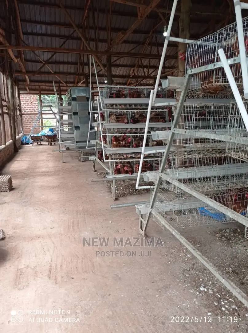 Poultry Farm on Two Acres on Quicksale in Mukono Kayunga