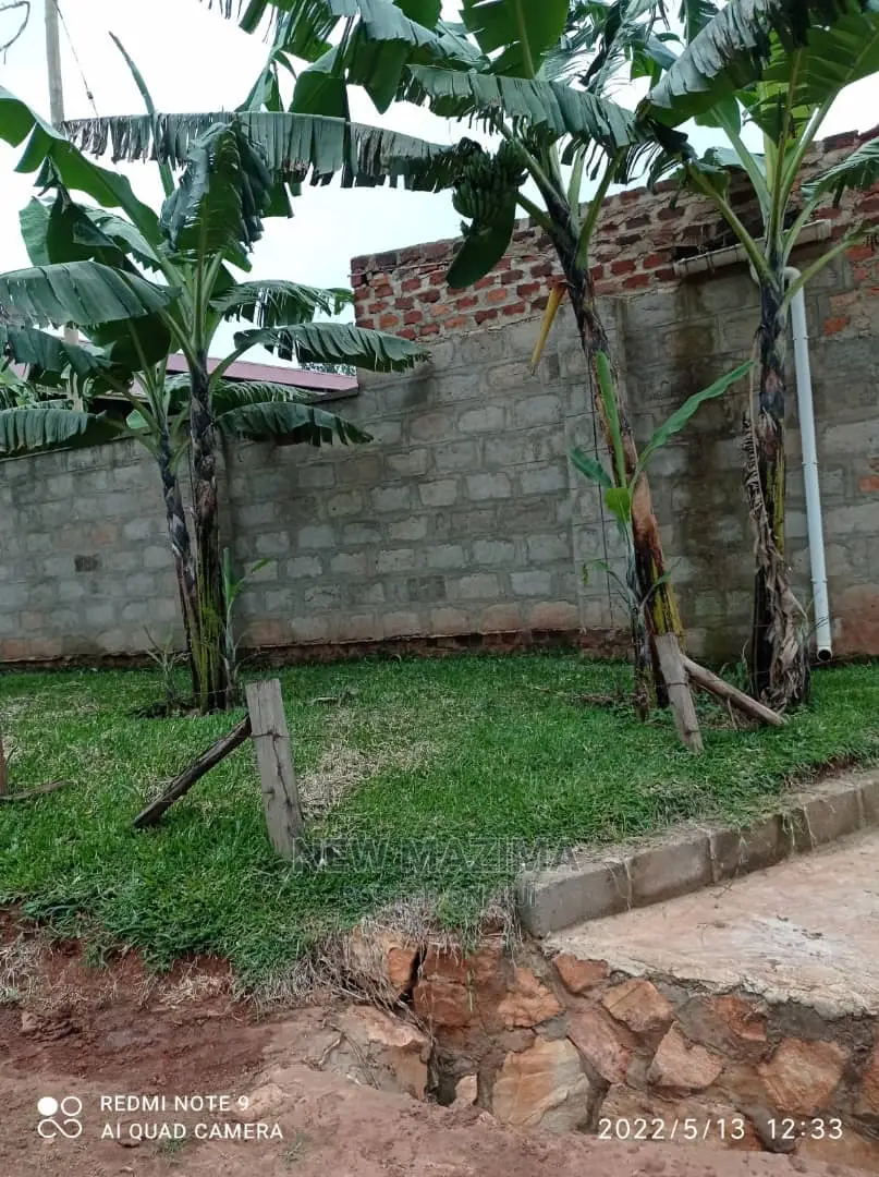 Poultry Farm on Two Acres on Quicksale in Mukono Kayunga