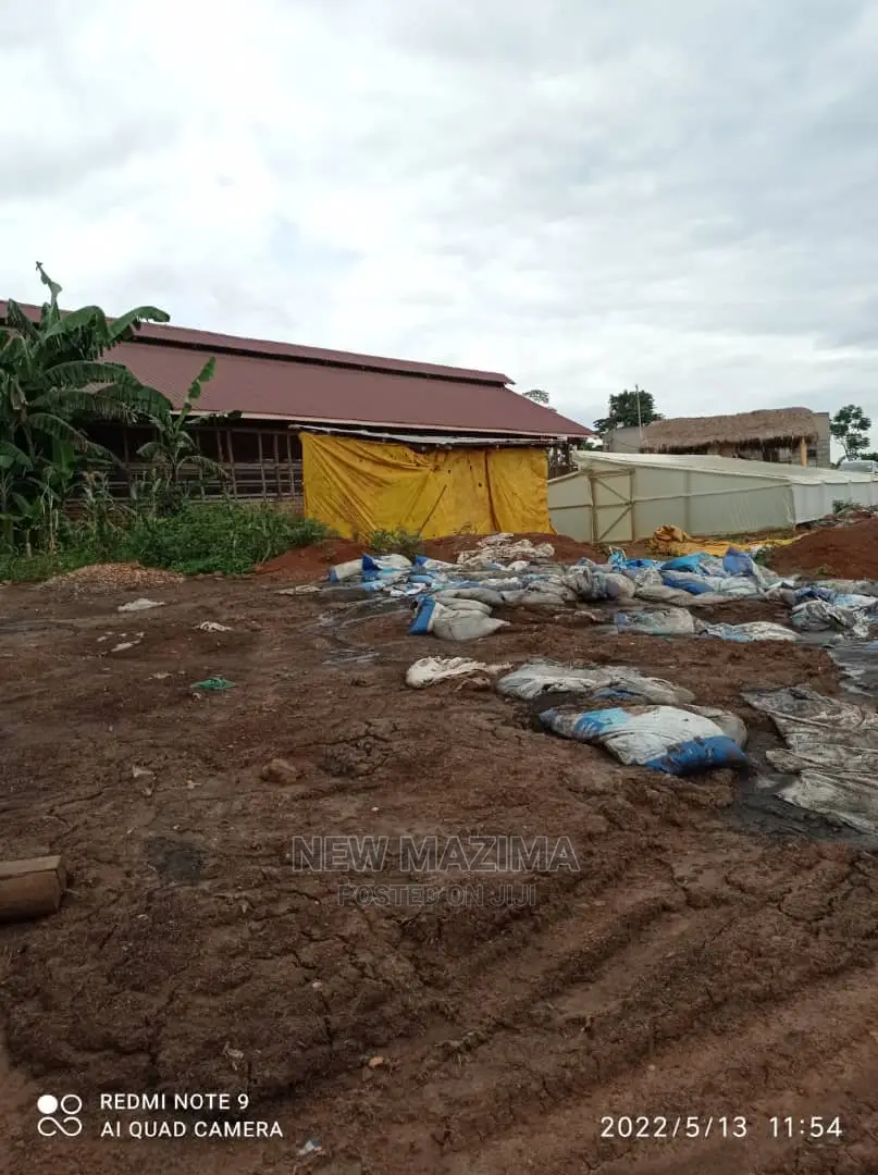 Poultry Farm on Two Acres on Quicksale in Mukono Kayunga