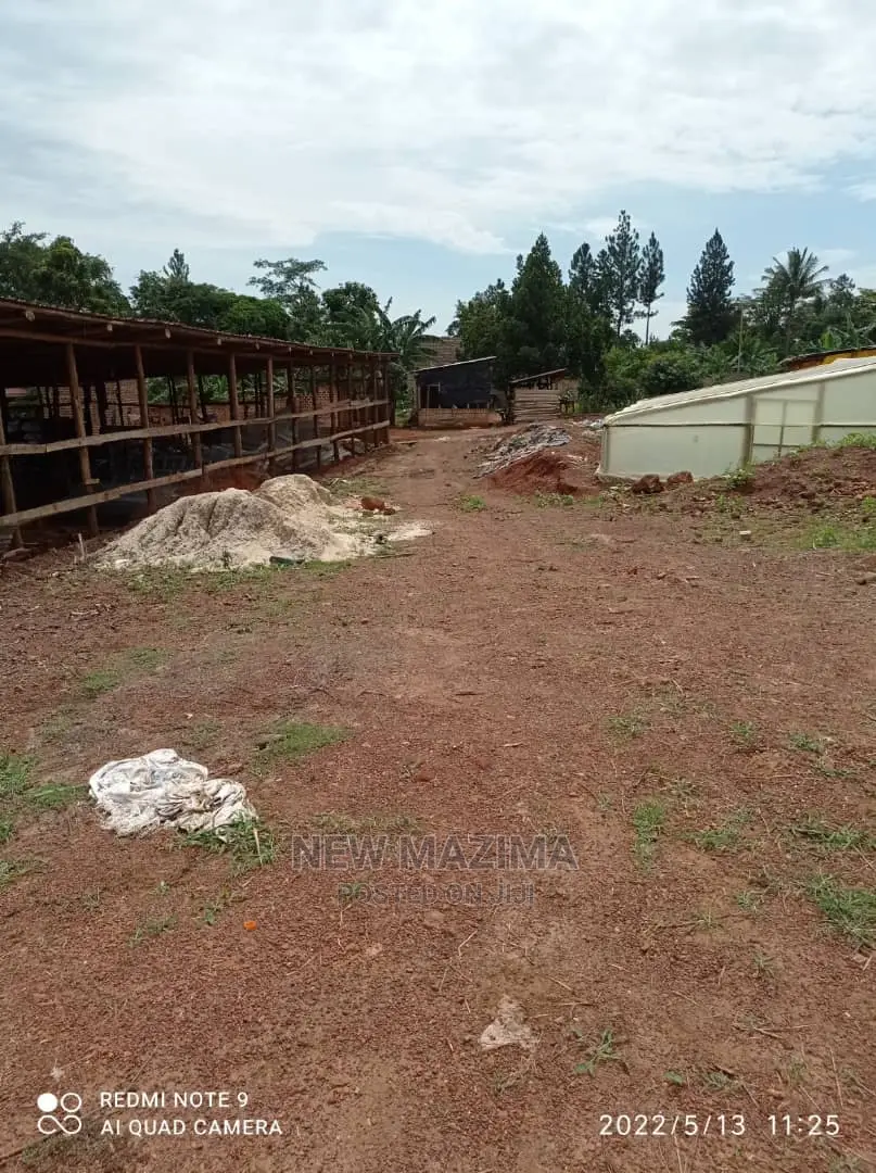 Poultry Farm on Two Acres on Quicksale in Mukono Kayunga