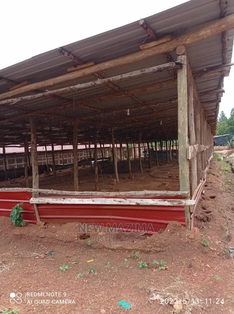 Poultry Farm on Two Acres on Quicksale in Mukono Kayunga