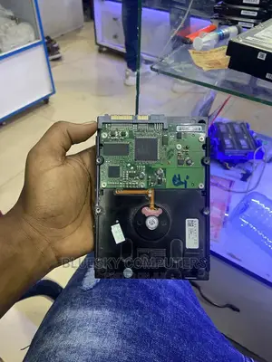 250 Gb Hard Drive