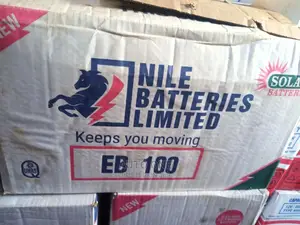 N100 Nile Batteries