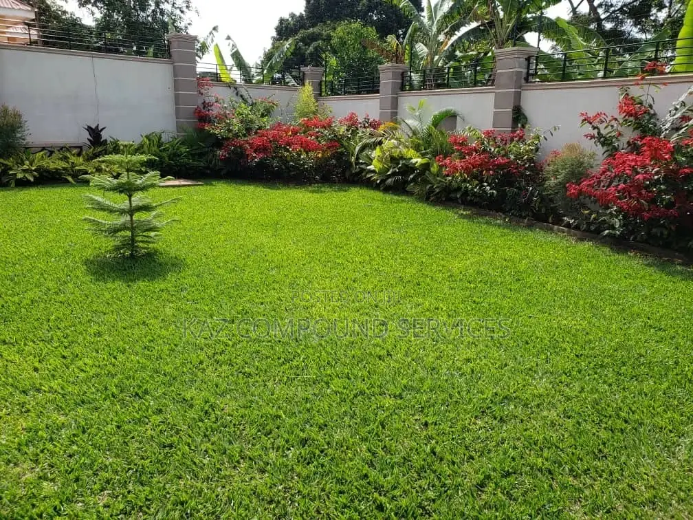 Modern Landscaping