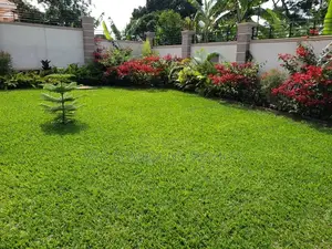 Modern Landscaping