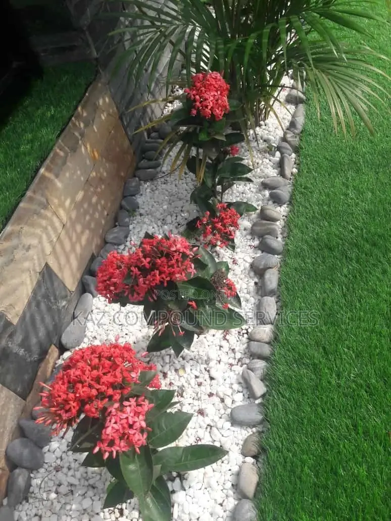 Modern Landscaping