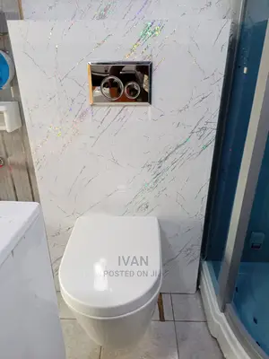 Concealed Wall Hung Toilet