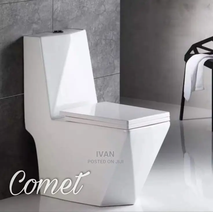Diamond Executive Toilet