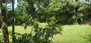 5bdrm Maisonette in Munyonyo Heights, Division a for Sale