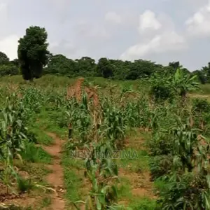 Ten Acres Onquicksale Inheart of Kawuku Ntebe Rd Ready Title