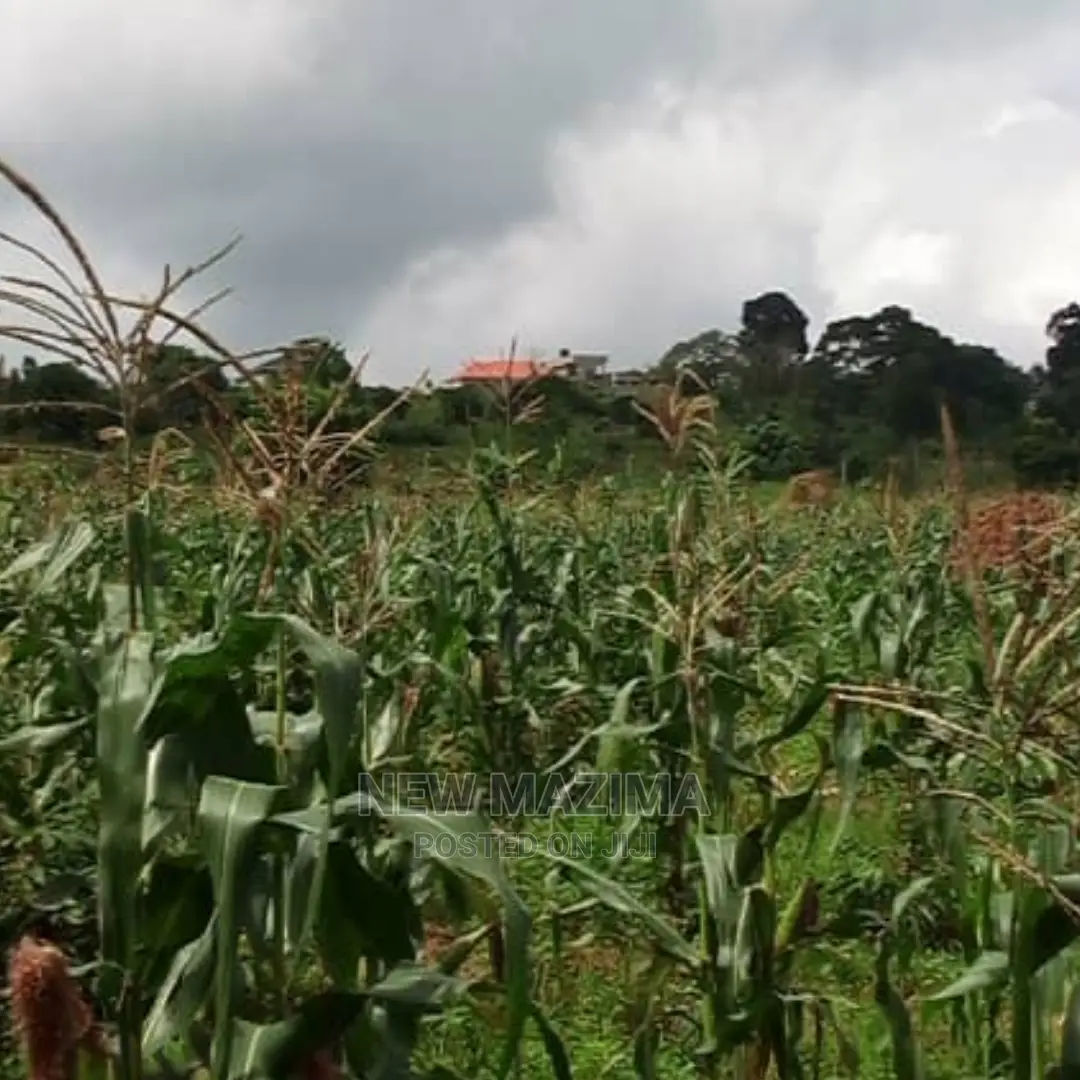 Ten Acres Onquicksale Inheart of Kawuku Ntebe Rd Ready Title