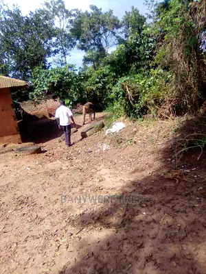 2acers of Land for Sale at Gayaza Manyagwa on Main Road