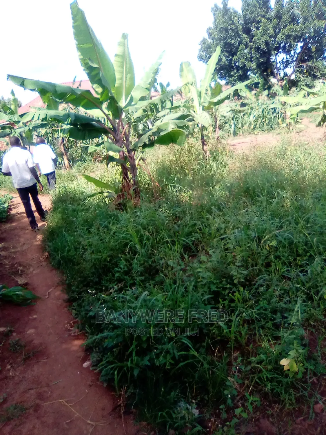 11/2acer of Land at Nawero Central on Sale