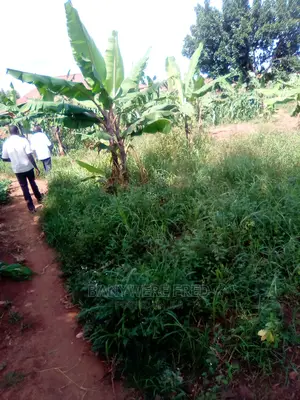 11/2acer of Land at Nawero Central on Sale