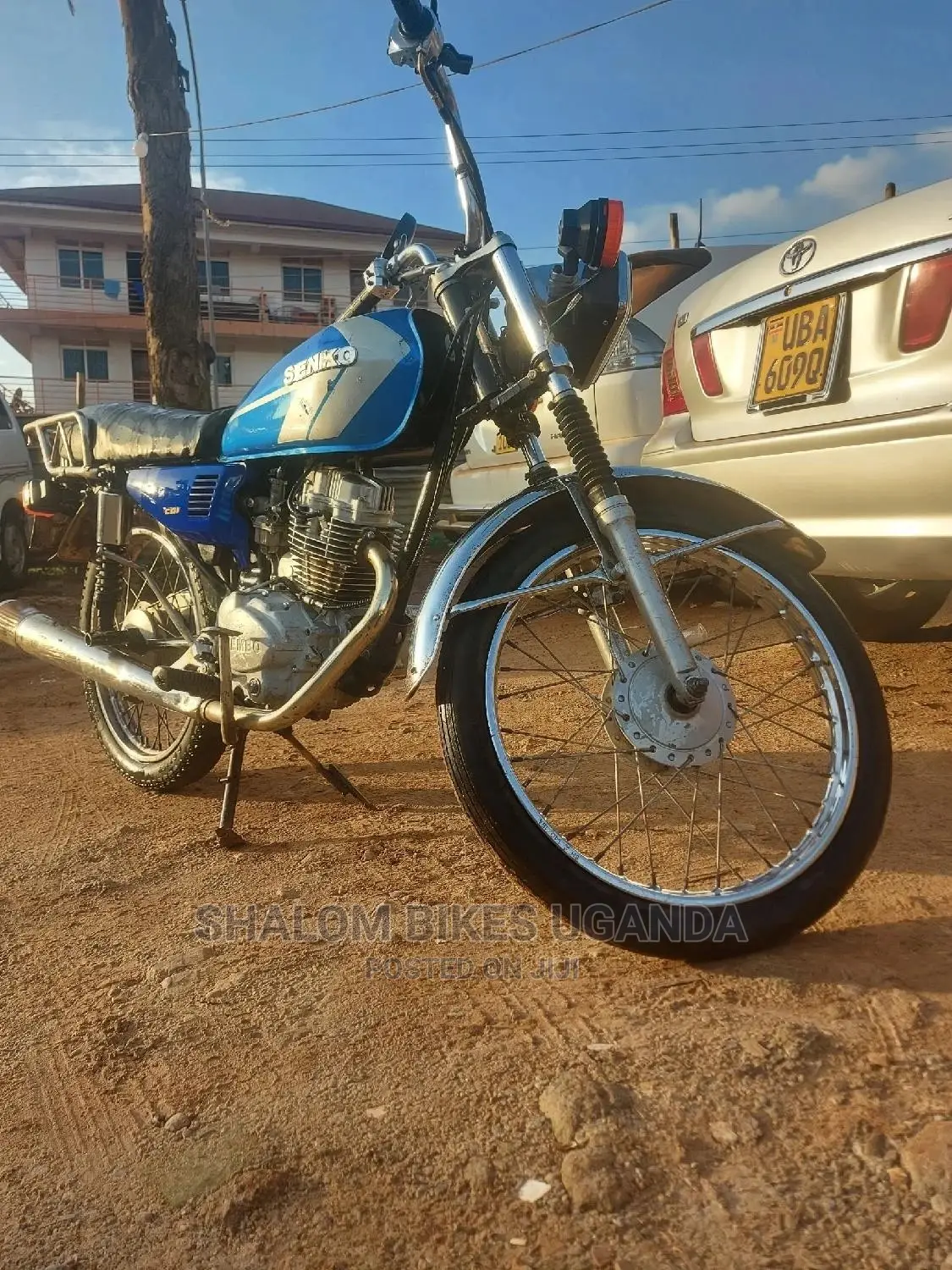 Senke 2013 Blue