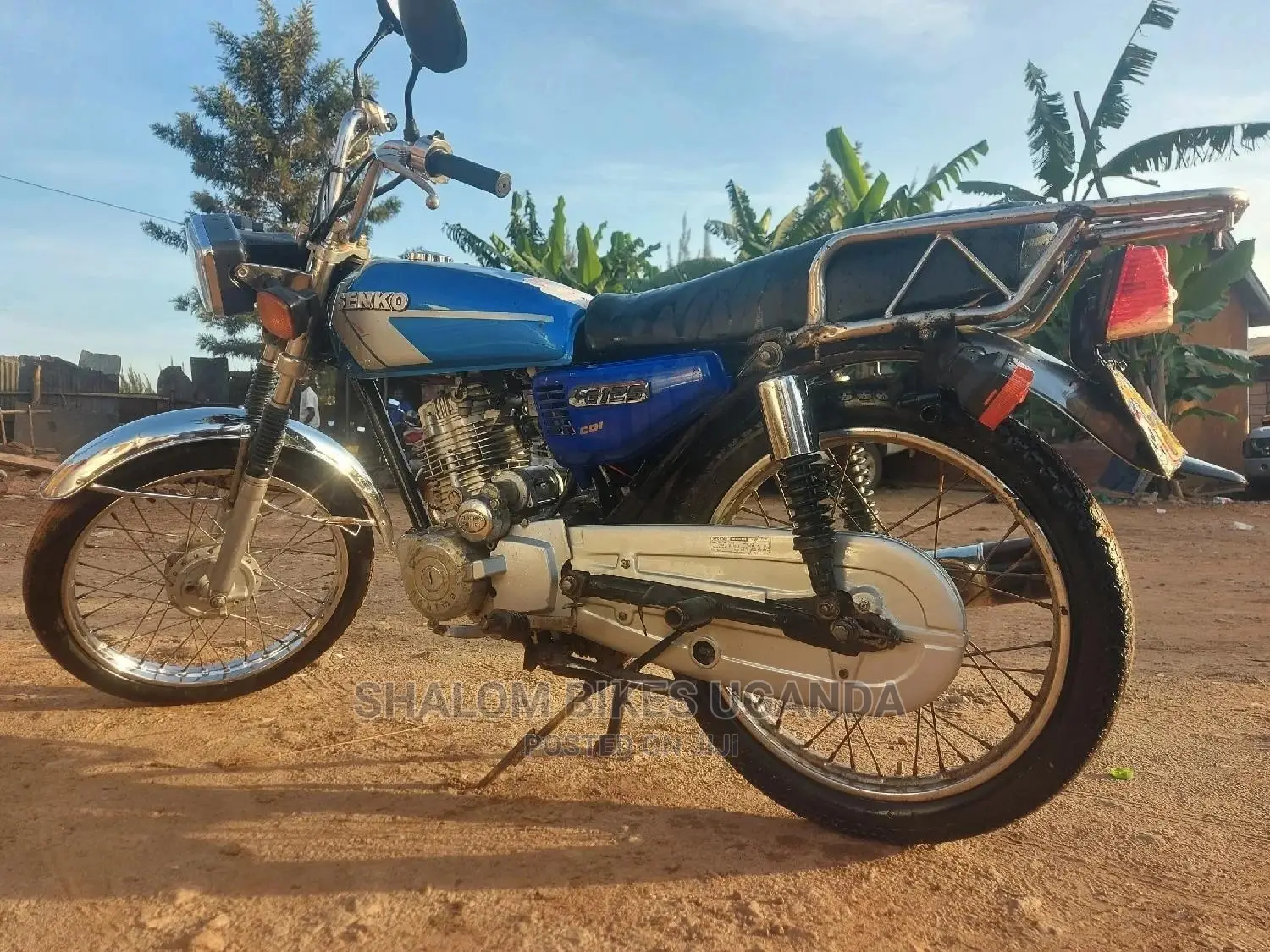 Senke 2013 Blue