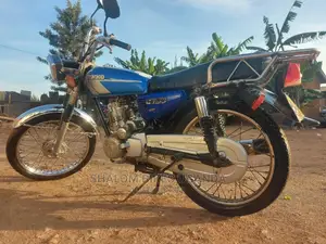 Senke 2013 Blue