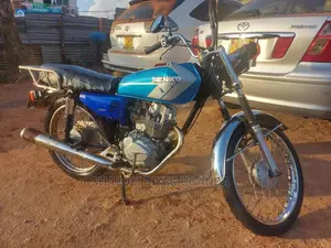 Senke 2013 Blue