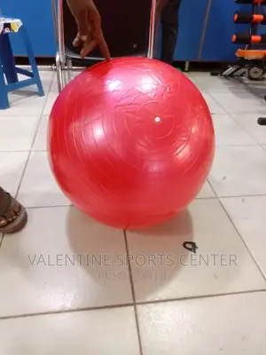 Gym Ball / Gymnastics Exercise Original Material
